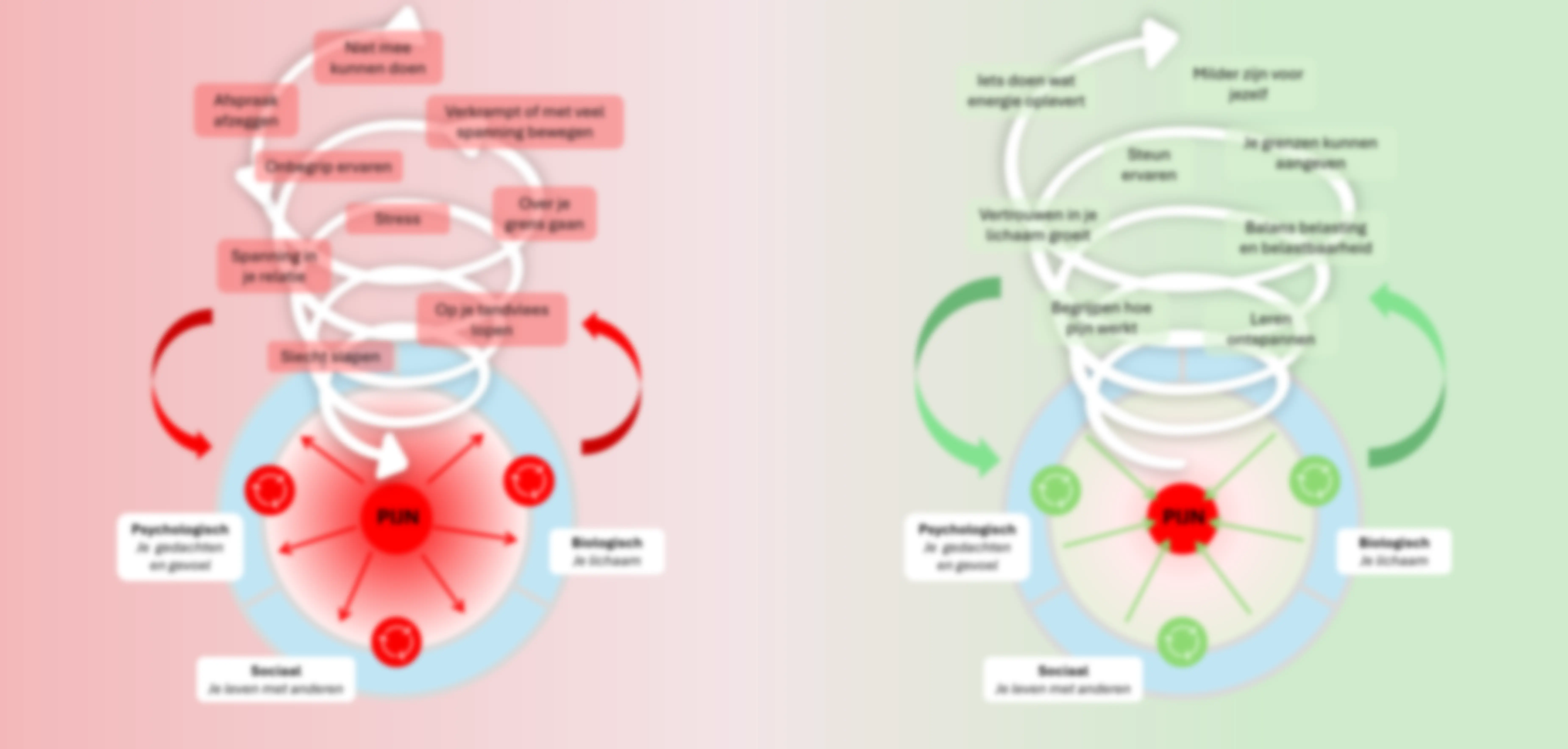 Biopsychosociaal pijnmodel