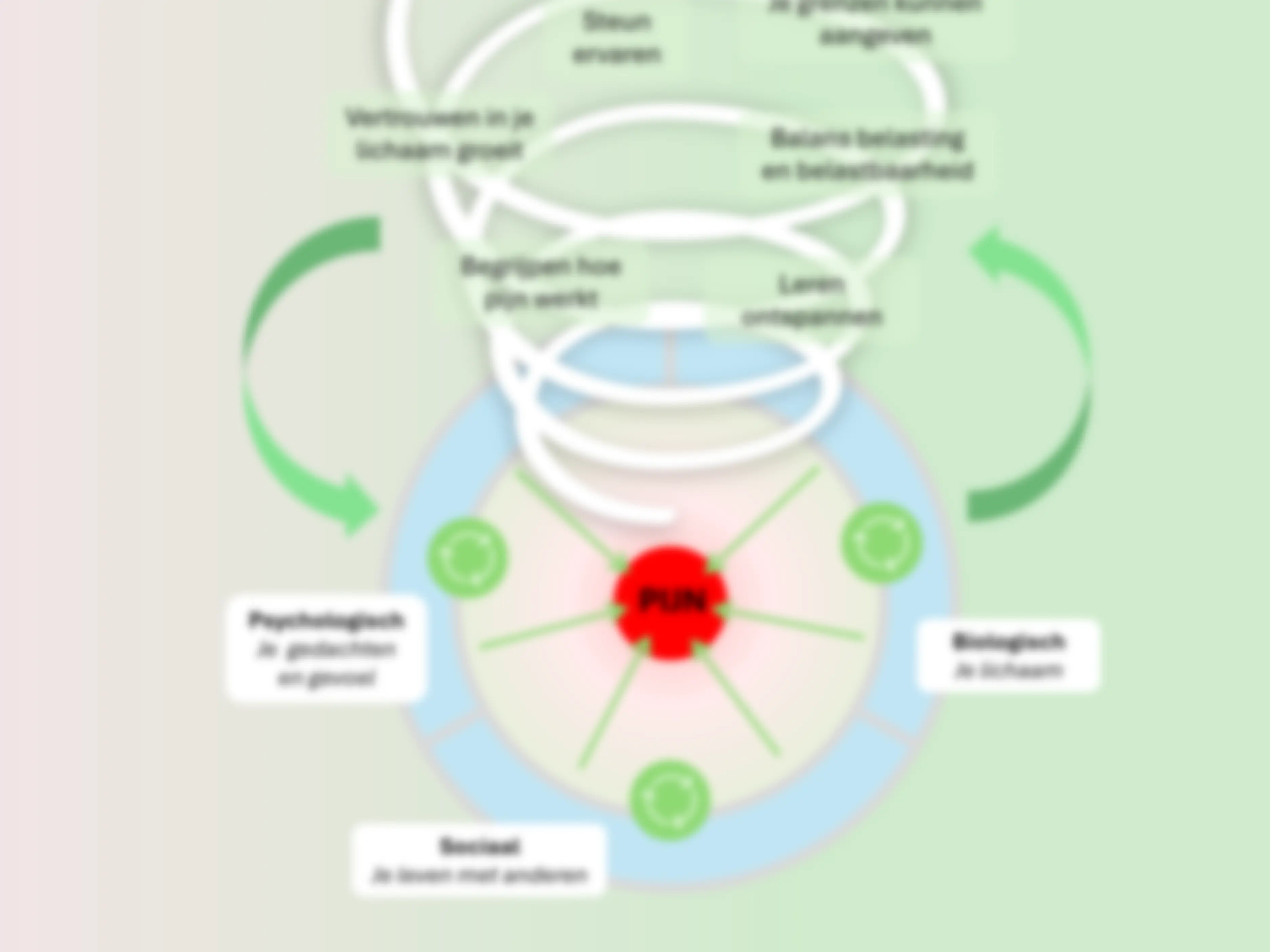 Biopsychosociaal pijnmodel
